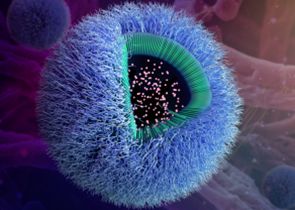 質(zhì)控用GFP mRNA-LNP